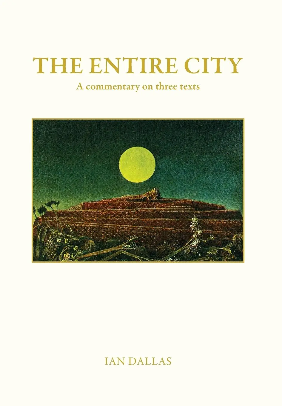 Cover: 9780620904346 | The Entire City, a commentary on three texts | Ian Dallas | Buch