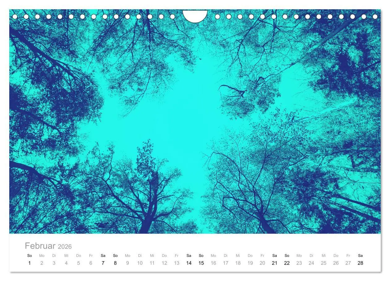 Bild: 9783457804346 | Farbrausch - die Welt in Pastell (Wandkalender 2026 DIN A4 quer),...