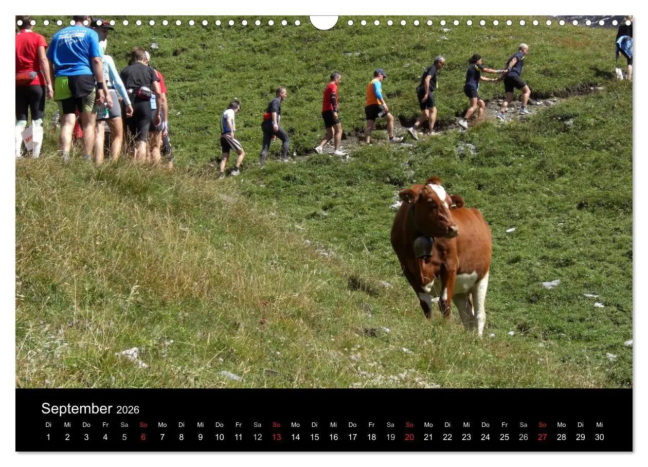 Bild: 9783516204346 | Der Jungfrau-Marathon (Wandkalender 2026 DIN A3 quer), CALVENDO...
