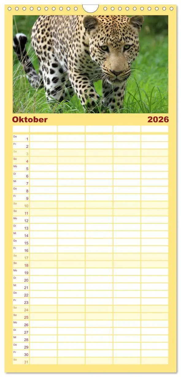 Bild: 9783516514346 | Familienplaner 2026 - Raubkatzen mit 5 Spalten (Wandkalender, 21 x...