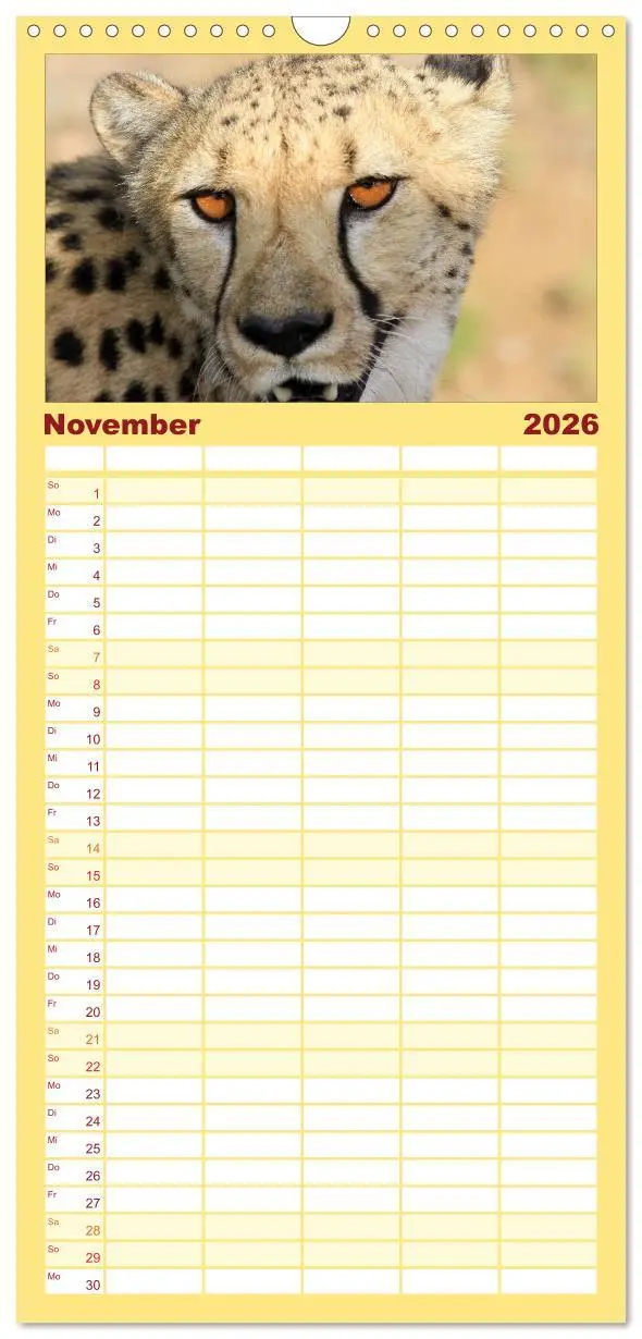 Bild: 9783516514346 | Familienplaner 2026 - Raubkatzen mit 5 Spalten (Wandkalender, 21 x...
