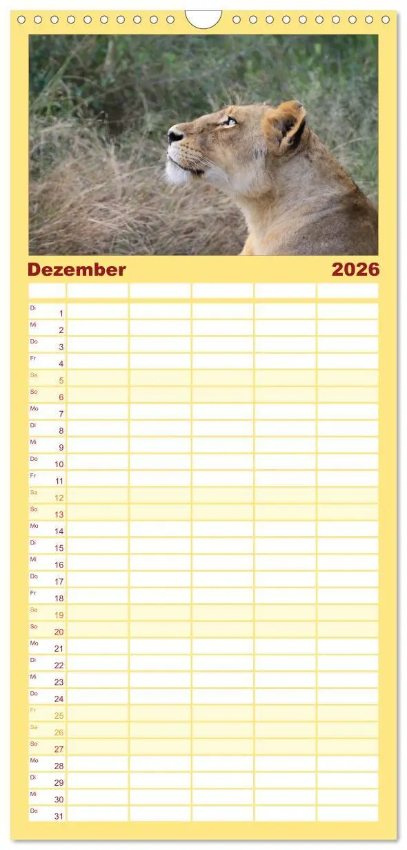 Bild: 9783516514346 | Familienplaner 2026 - Raubkatzen mit 5 Spalten (Wandkalender, 21 x...