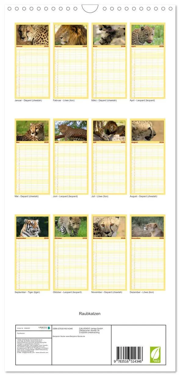 Bild: 9783516514346 | Familienplaner 2026 - Raubkatzen mit 5 Spalten (Wandkalender, 21 x...