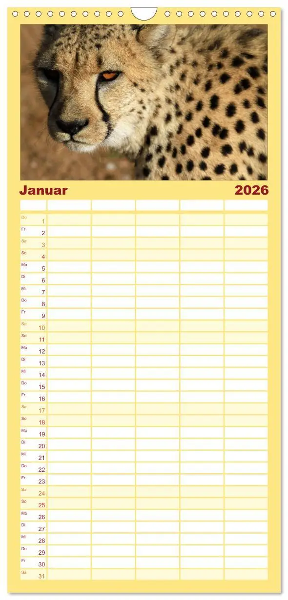 Bild: 9783516514346 | Familienplaner 2026 - Raubkatzen mit 5 Spalten (Wandkalender, 21 x...