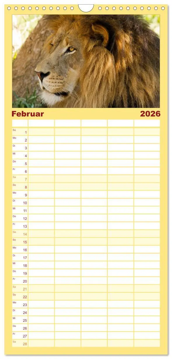 Bild: 9783516514346 | Familienplaner 2026 - Raubkatzen mit 5 Spalten (Wandkalender, 21 x...