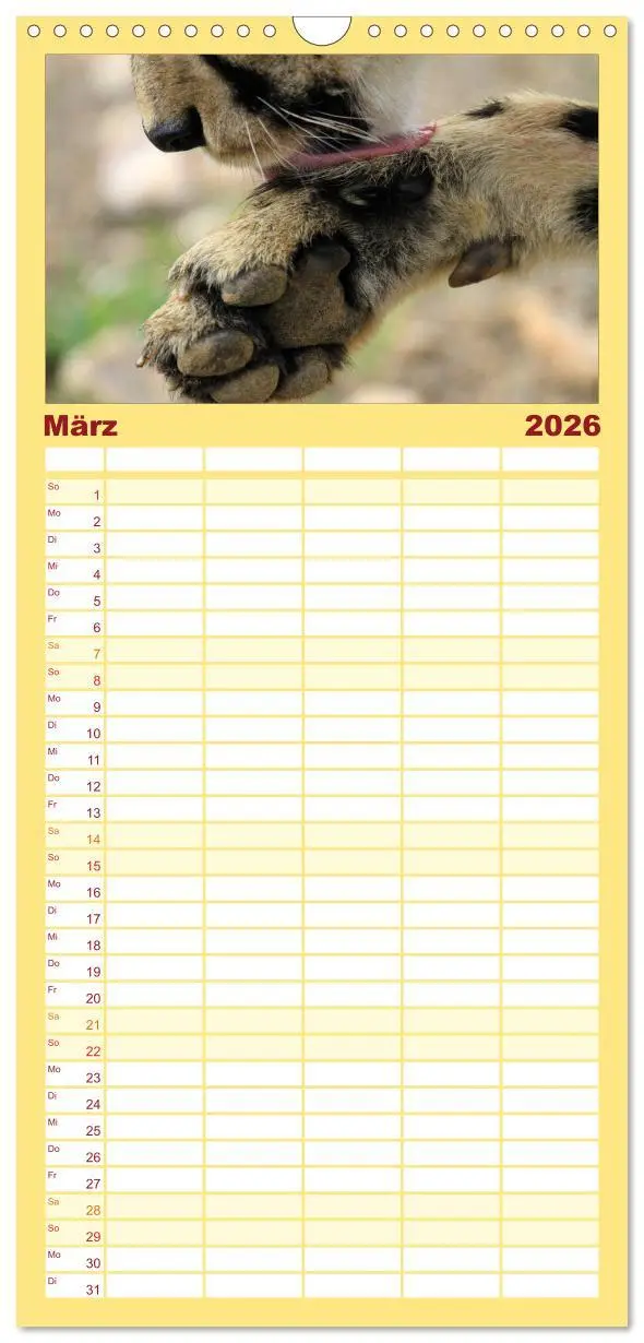 Bild: 9783516514346 | Familienplaner 2026 - Raubkatzen mit 5 Spalten (Wandkalender, 21 x...
