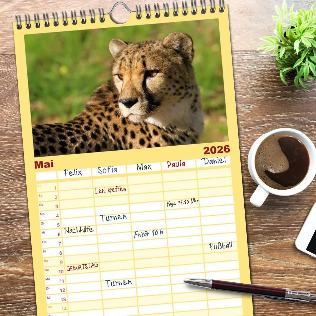 Bild: 9783516514346 | Familienplaner 2026 - Raubkatzen mit 5 Spalten (Wandkalender, 21 x...