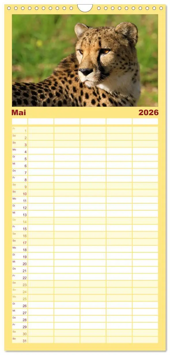 Bild: 9783516514346 | Familienplaner 2026 - Raubkatzen mit 5 Spalten (Wandkalender, 21 x...