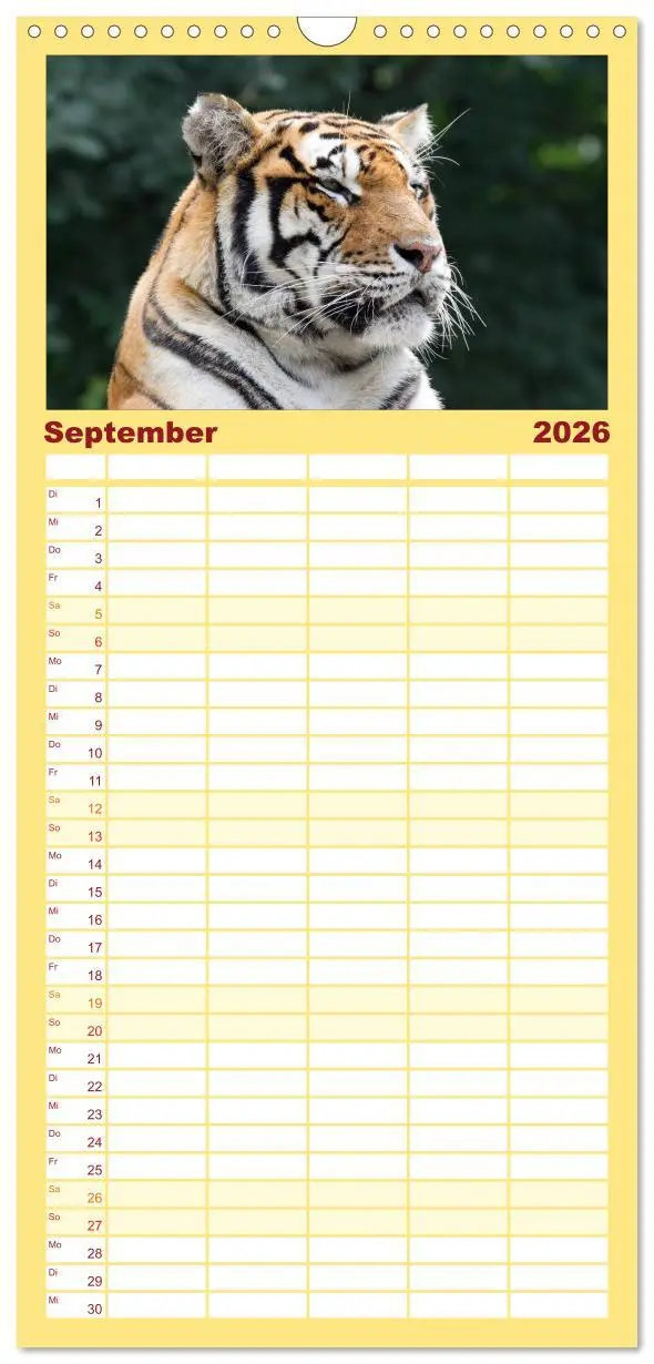 Bild: 9783516514346 | Familienplaner 2026 - Raubkatzen mit 5 Spalten (Wandkalender, 21 x...