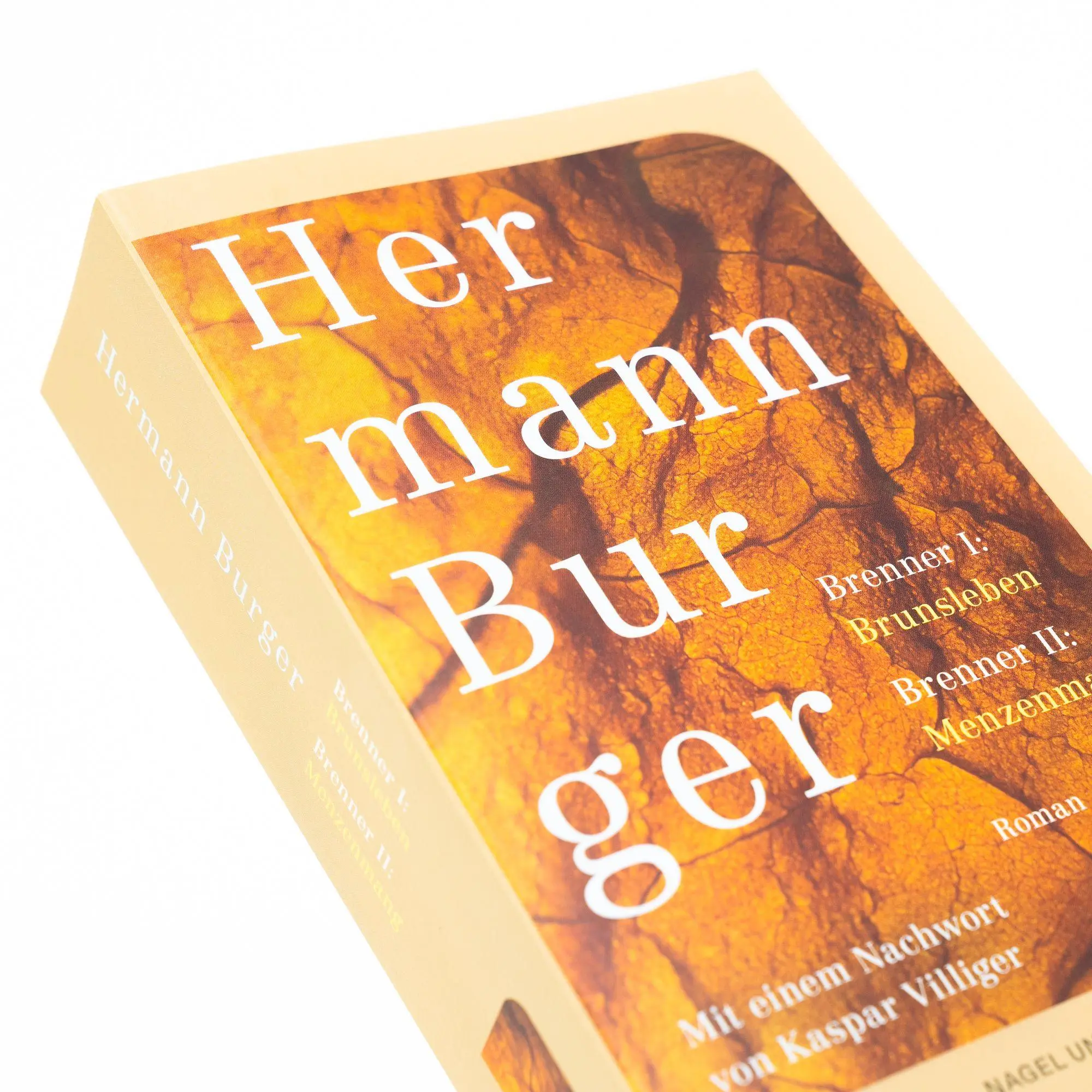 Bild: 9783312014446 | Brenner 1: Brunsleben. Brenner 2: Menzenmang | Hermann Burger | Buch