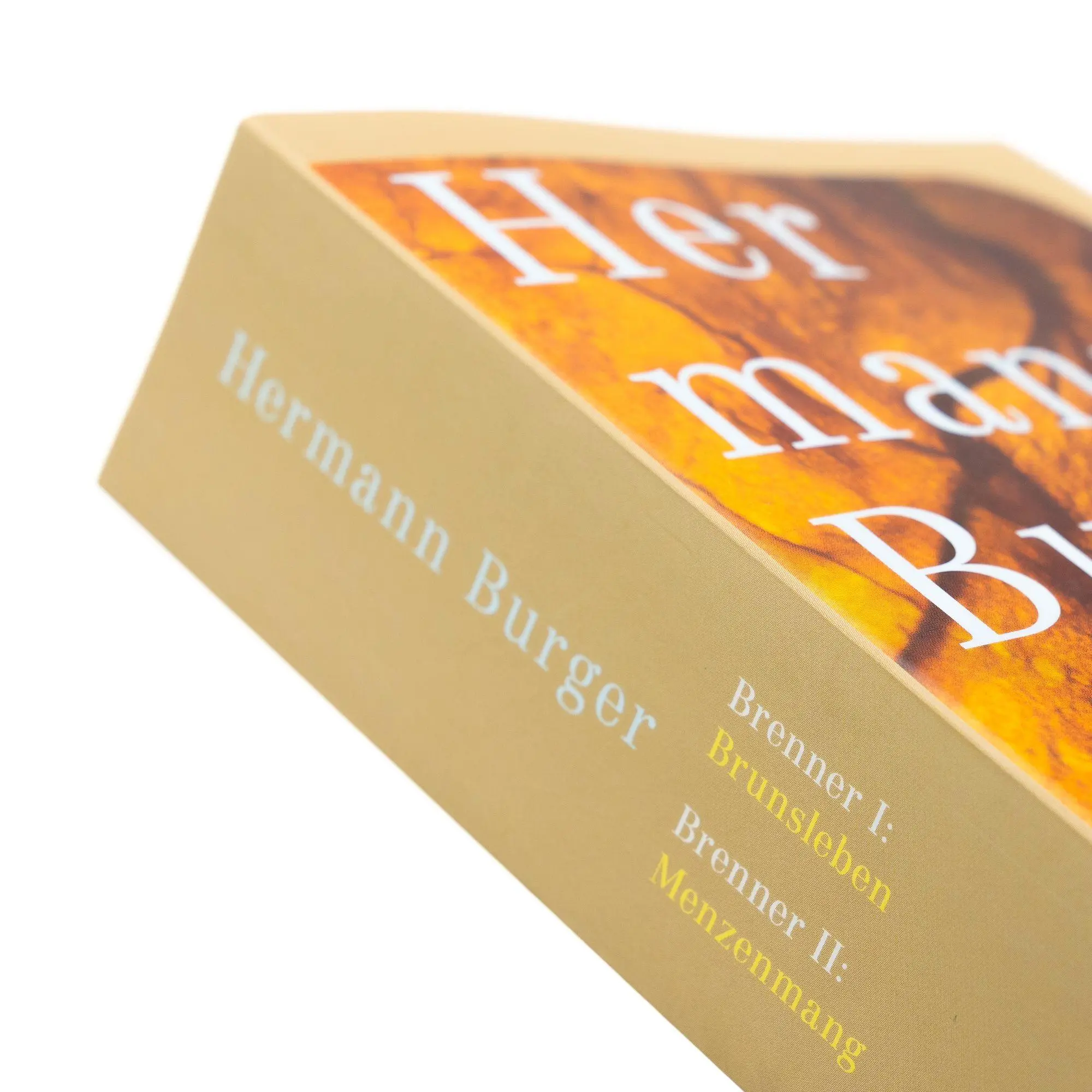 Bild: 9783312014446 | Brenner 1: Brunsleben. Brenner 2: Menzenmang | Hermann Burger | Buch