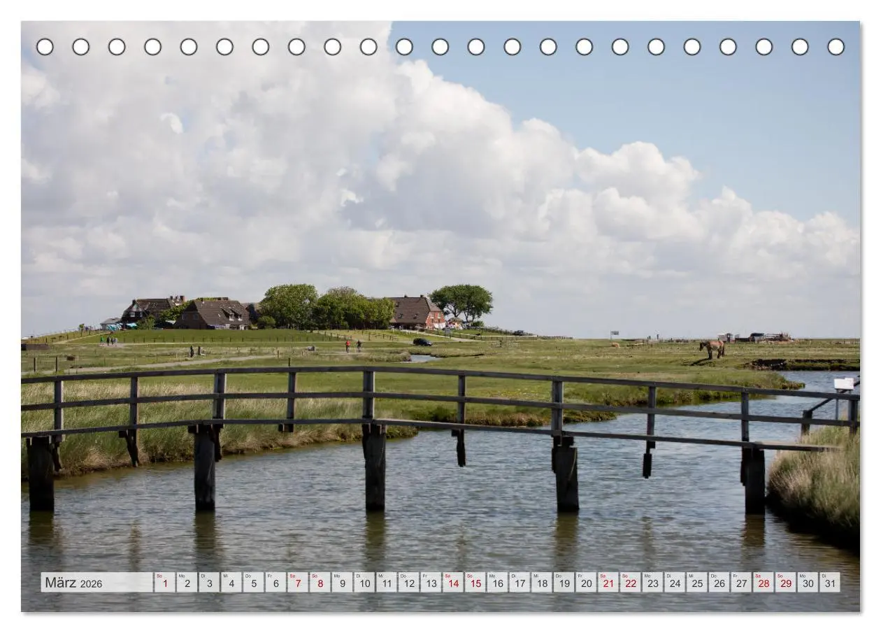 Bild: 9783457584446 | Wunderschöne Hallig Hooge (Tischkalender 2026 DIN A5 quer),...