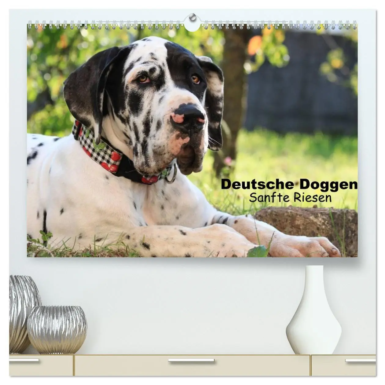 Cover: 9783457964446 | Deutsche Doggen - Sanfte Riesen (hochwertiger Premium Wandkalender...