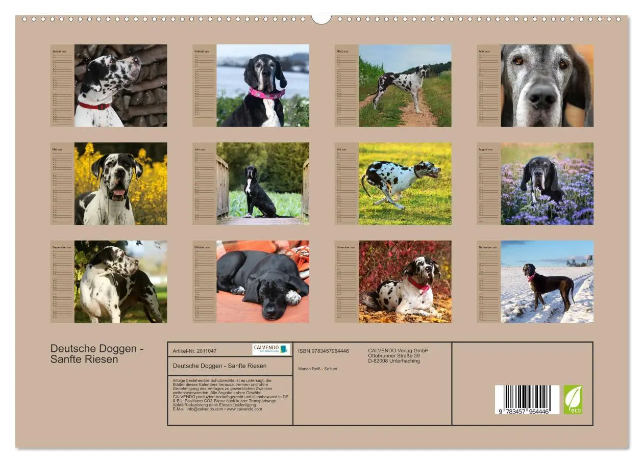 Bild: 9783457964446 | Deutsche Doggen - Sanfte Riesen (hochwertiger Premium Wandkalender...