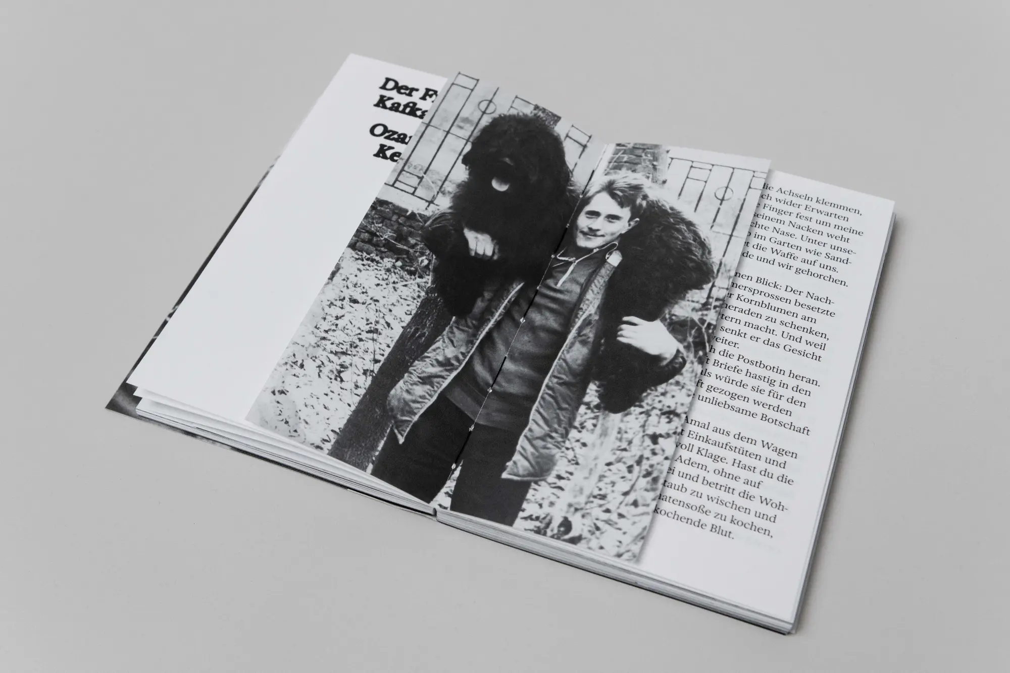 Bild: 9783948174446 | dog days | Kurzgeschichten aus der Perspektive des Hundes | Melikov