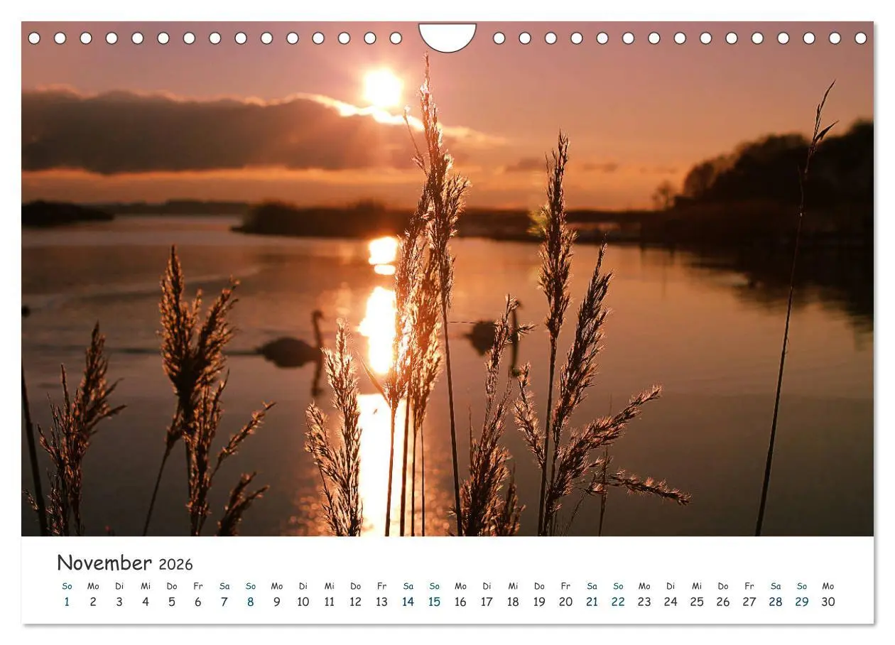 Bild: 9783457884546 | Südost Rügen 2026 (Wandkalender 2026 DIN A4 quer), CALVENDO...