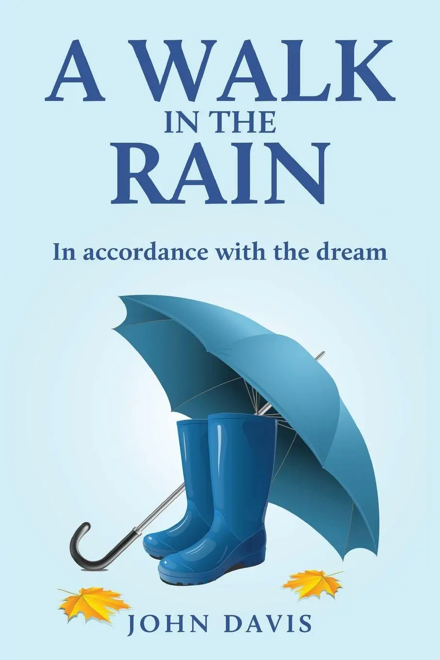 Cover: 9781802274646 | A Walk in the Rain | In accordance with the dream | John Davis | Buch