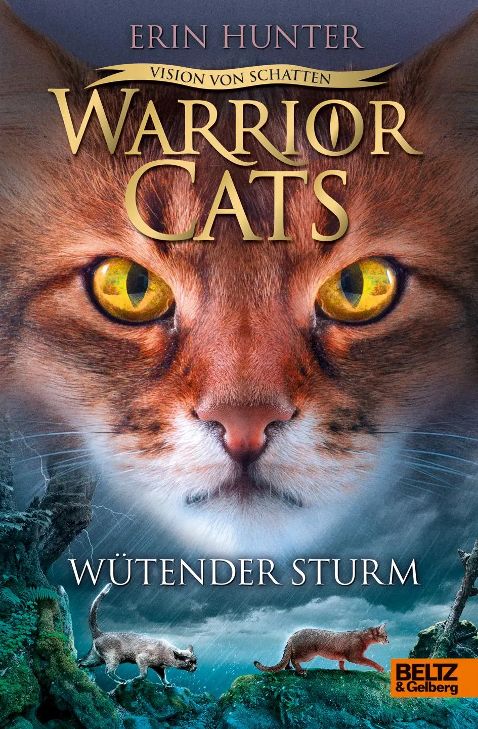 Cover: 9783407754646 | Warrior Cats Staffel 6/06 - Vision von Schatten. Wütender Sturm | Buch