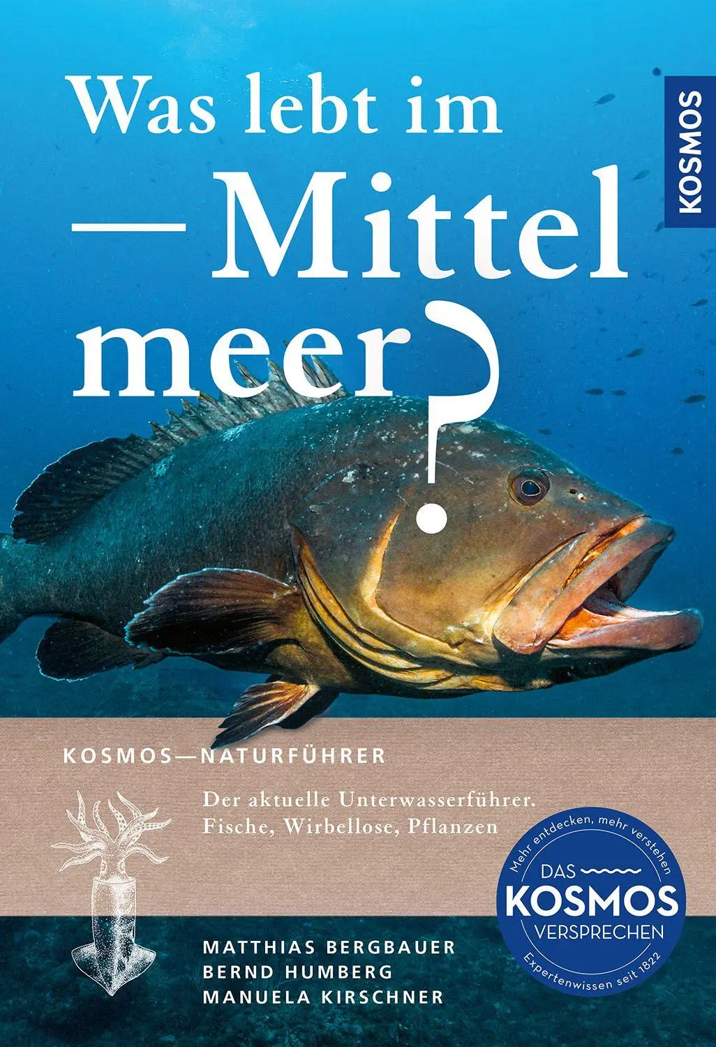 Cover: 9783440184646 | Was lebt im Mittelmeer? | Matthias Bergbauer (u. a.) | Taschenbuch