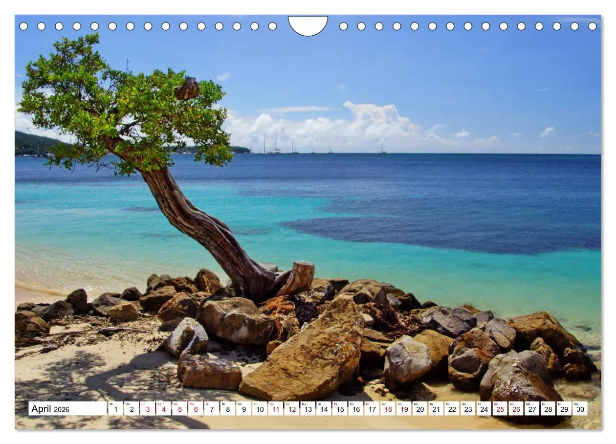 Bild: 9783457864746 | Martinique, die Traumstrände (Wandkalender 2026 DIN A4 quer),...