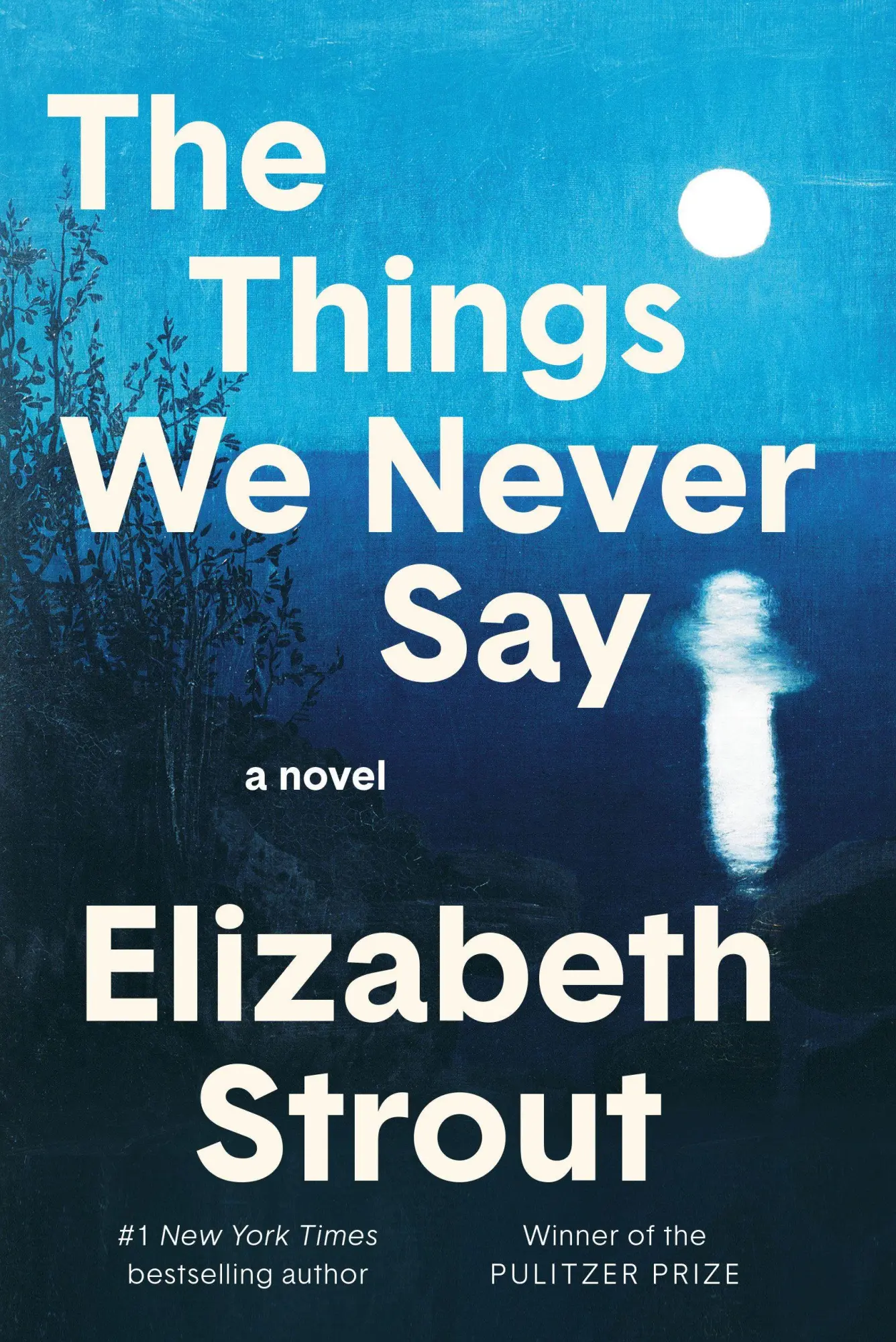 Cover: 9798217154746 | The Things We Never Say | A Novel | Elizabeth Strout | Buch | Englisch