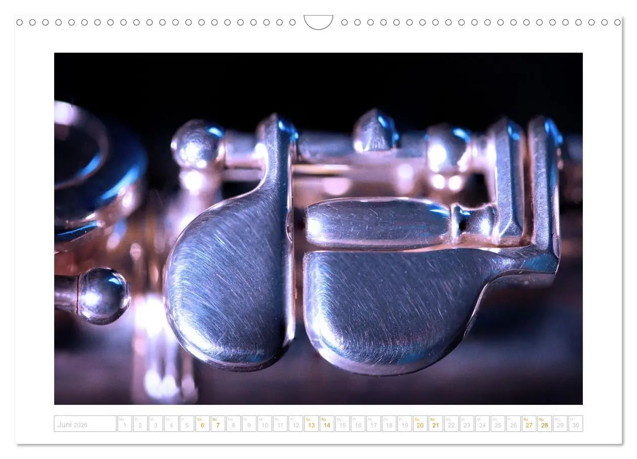 Bild: 9783457474846 | Die Querflöte, ein herrliches Instrument (Wandkalender 2026 DIN A3...