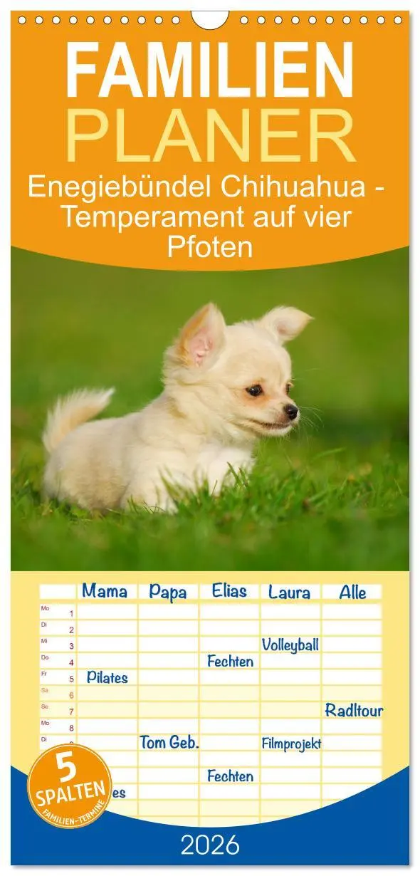 Cover: 9783516494846 | Familienplaner 2026 - Enegiebündel Chihuahua - Temperament auf vier...
