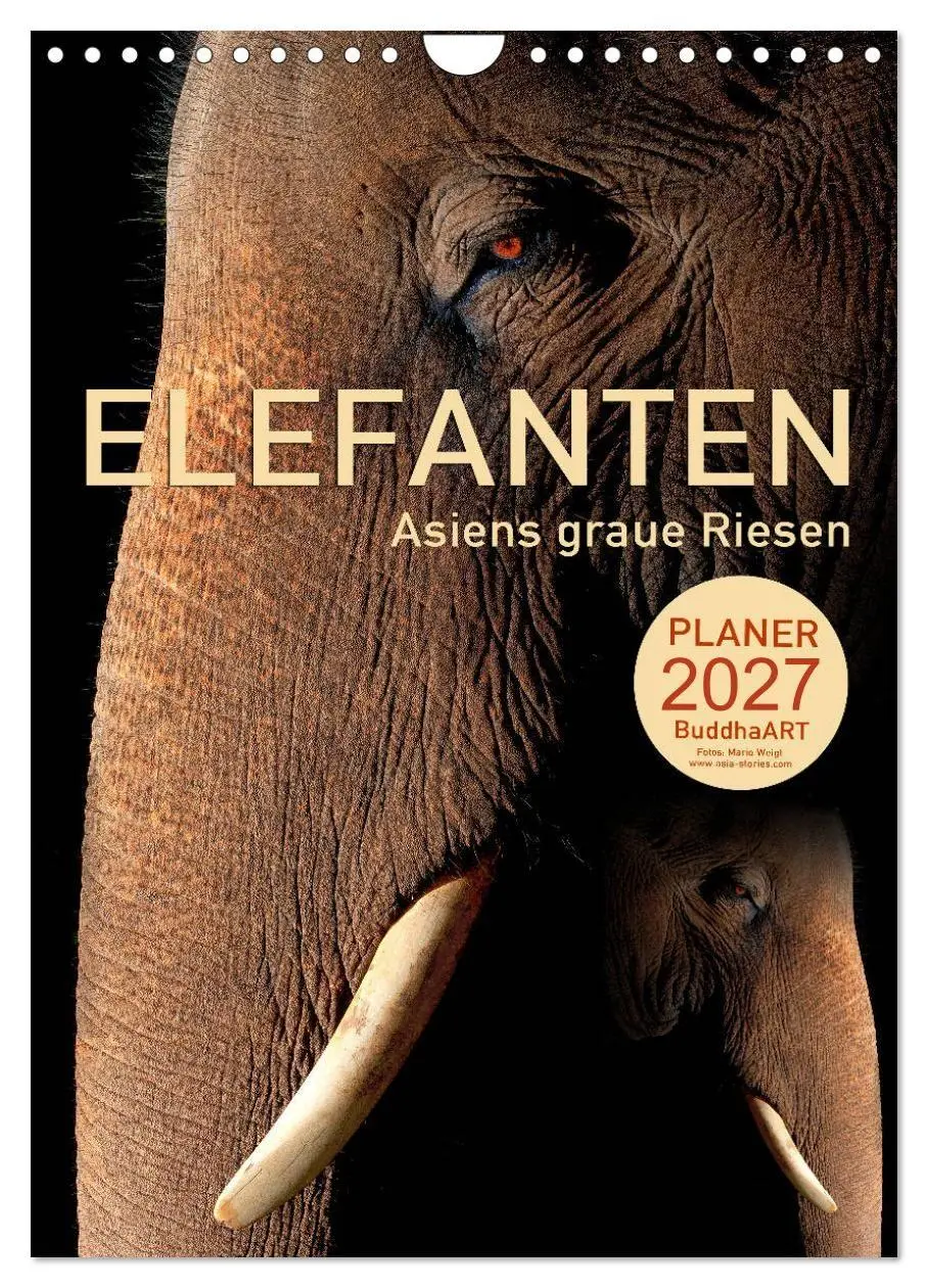 Cover: 9783569584846 | ELEFANTEN - Asiens graue Riesen (Wandkalender 2027 DIN A4 hoch),...