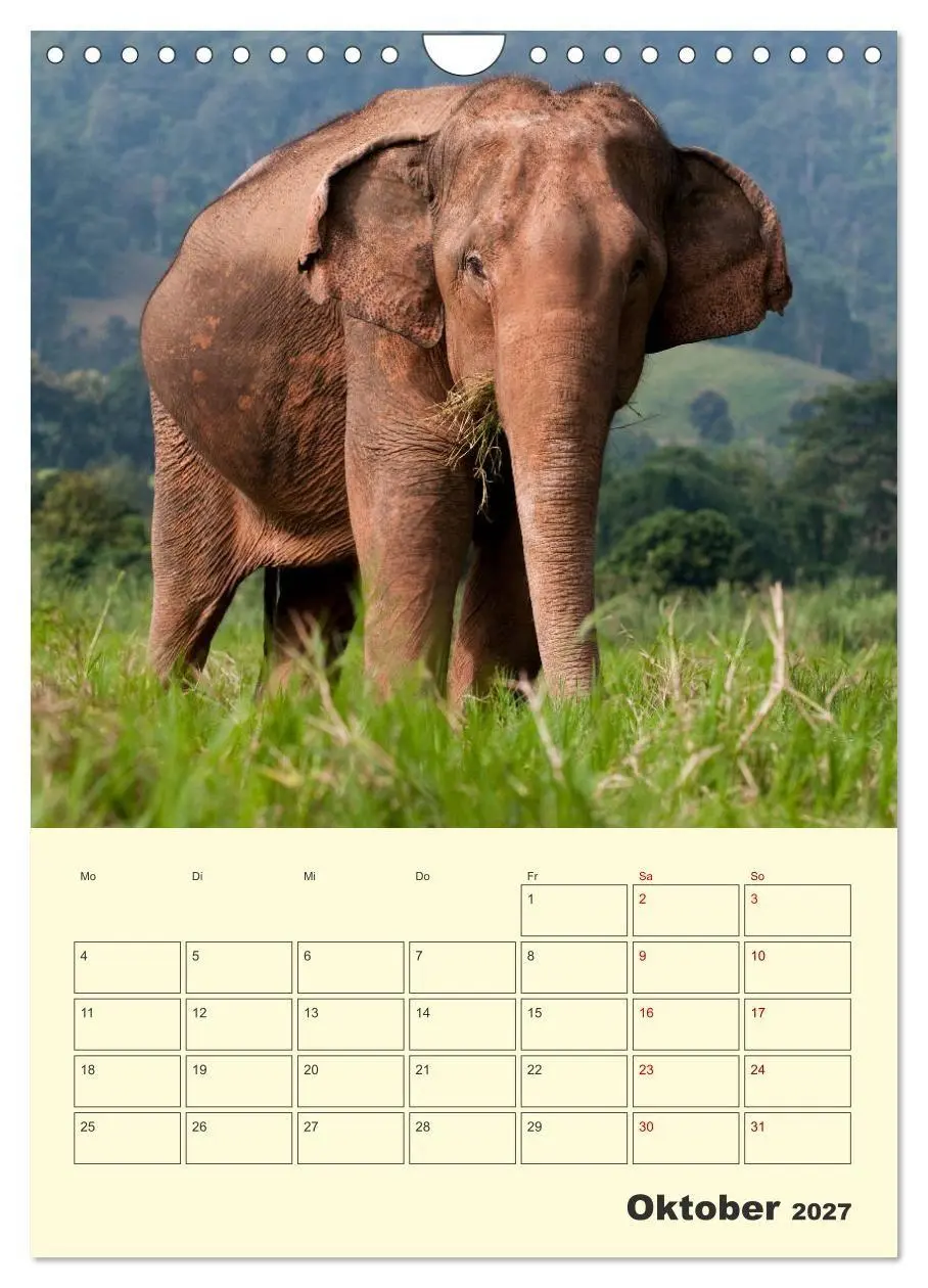 Bild: 9783569584846 | ELEFANTEN - Asiens graue Riesen (Wandkalender 2027 DIN A4 hoch),...