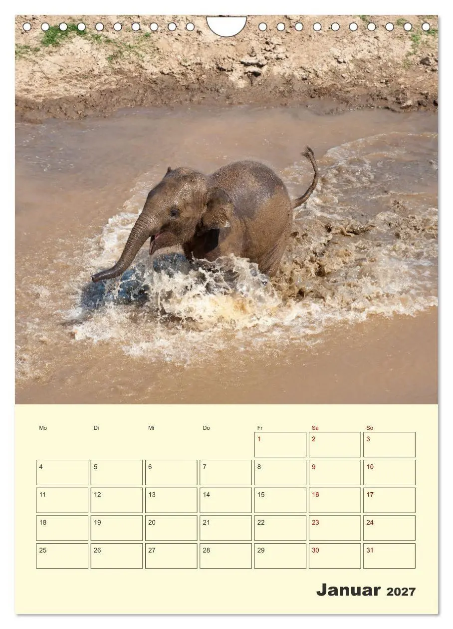 Bild: 9783569584846 | ELEFANTEN - Asiens graue Riesen (Wandkalender 2027 DIN A4 hoch),...