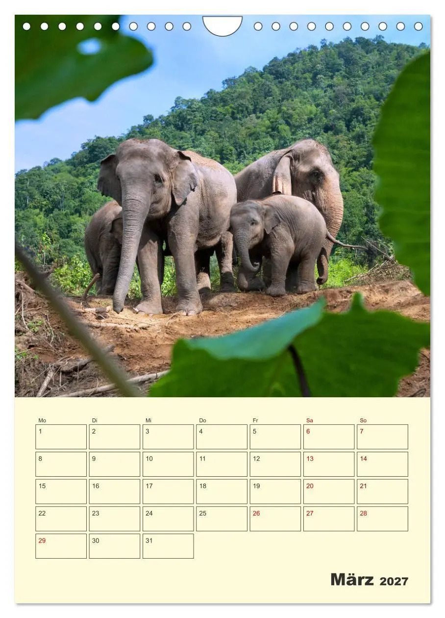 Bild: 9783569584846 | ELEFANTEN - Asiens graue Riesen (Wandkalender 2027 DIN A4 hoch),...