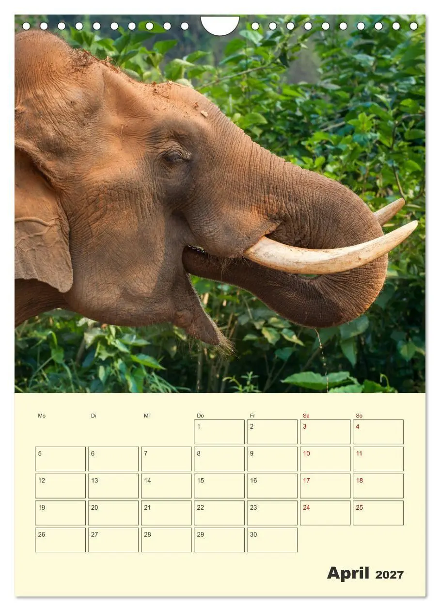 Bild: 9783569584846 | ELEFANTEN - Asiens graue Riesen (Wandkalender 2027 DIN A4 hoch),...