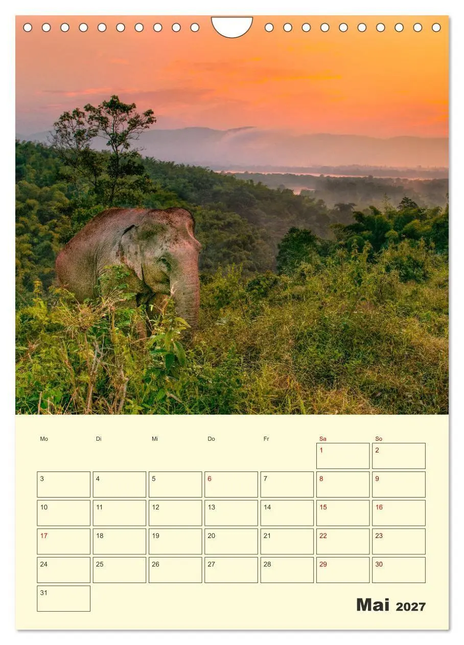 Bild: 9783569584846 | ELEFANTEN - Asiens graue Riesen (Wandkalender 2027 DIN A4 hoch),...