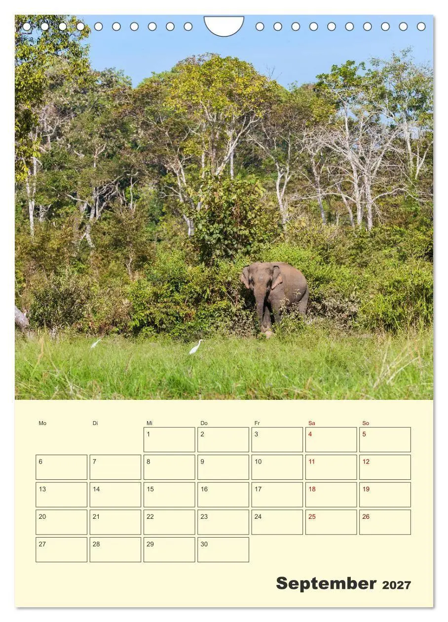 Bild: 9783569584846 | ELEFANTEN - Asiens graue Riesen (Wandkalender 2027 DIN A4 hoch),...