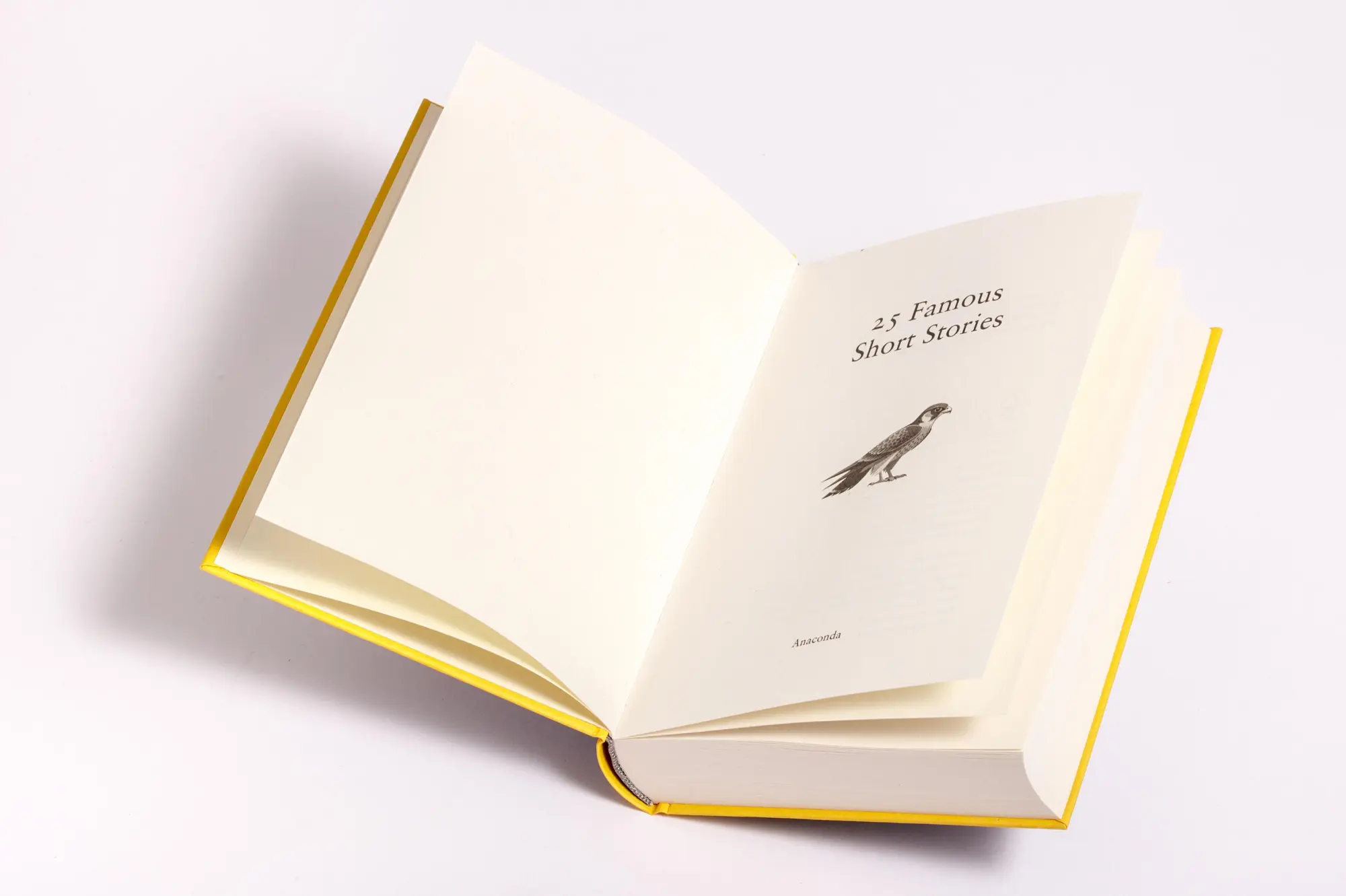 Bild: 9783730614846 | 25 Famous Short Stories. English Edition | Buch | The English Edition