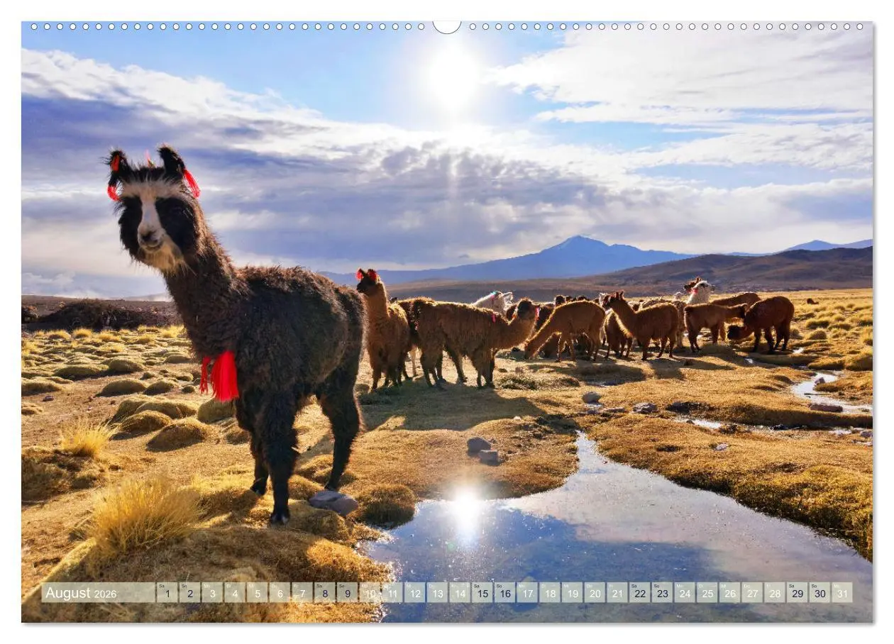 Bild: 9783457355046 | Entdecke Bolivien (hochwertiger Premium Wandkalender 2026 DIN A2...
