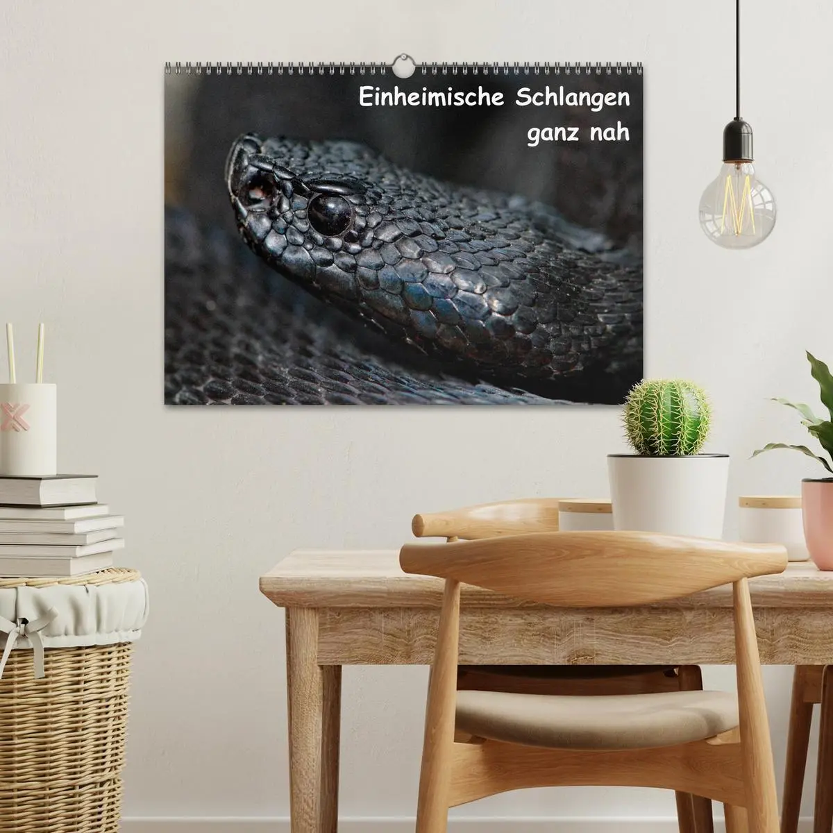 Bild: 9783516205046 | Einheimische Schlangen ganz nah (Wandkalender 2026 DIN A3 quer),...