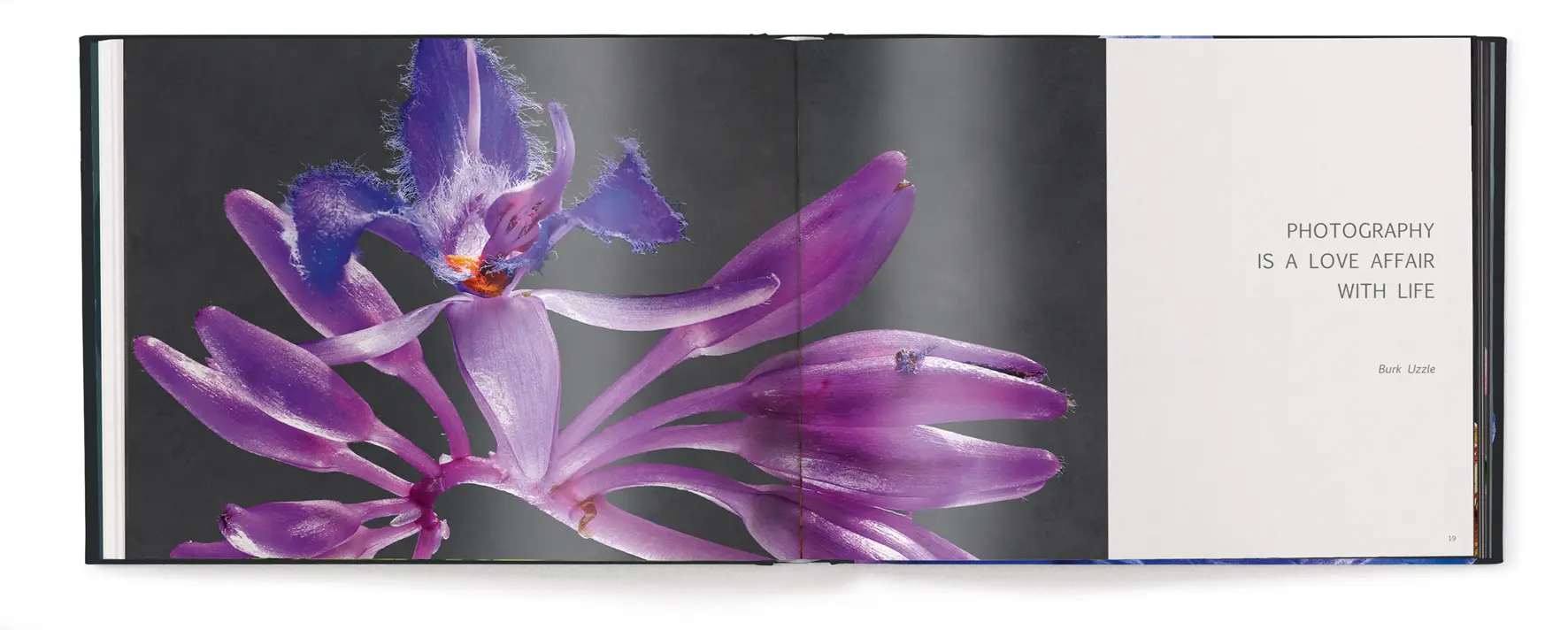 Bild: 9783961715046 | Floral | Richard Fischer | Buch | 208 S. | Deutsch | 2023