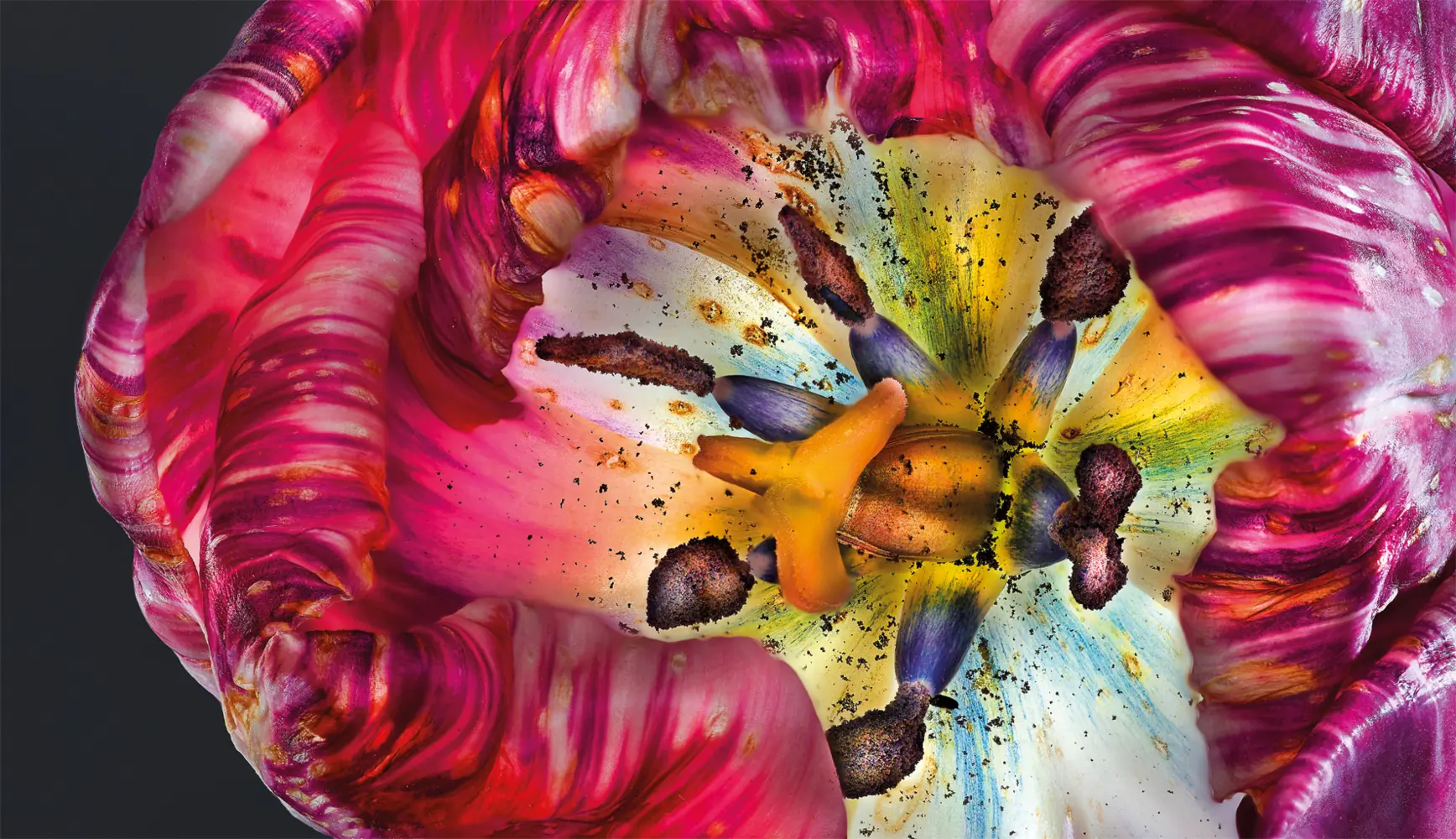 Bild: 9783961715046 | Floral | Richard Fischer | Buch | 208 S. | Deutsch | 2023