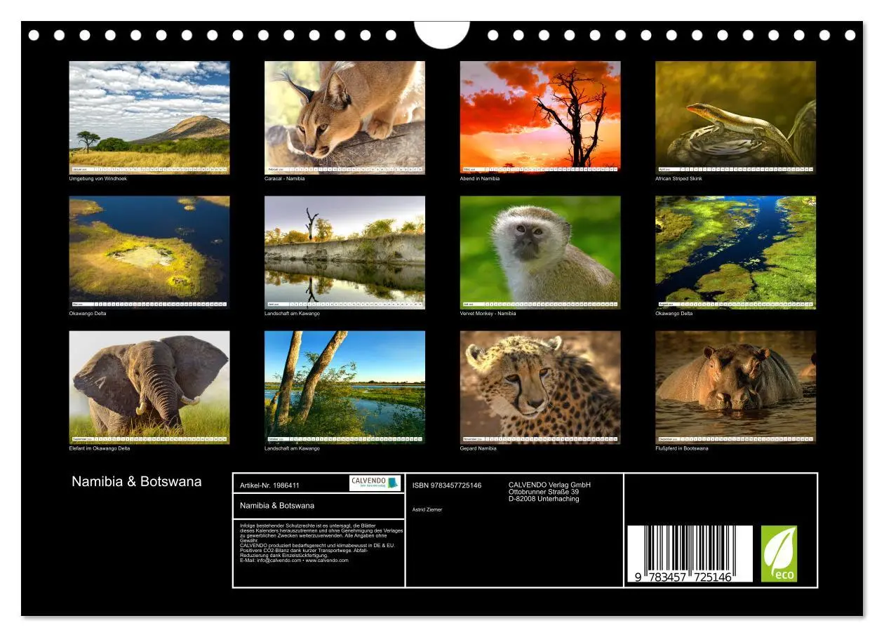 Bild: 9783457725146 | Namibia &amp; Botswana (Wandkalender 2026 DIN A4 quer), CALVENDO...