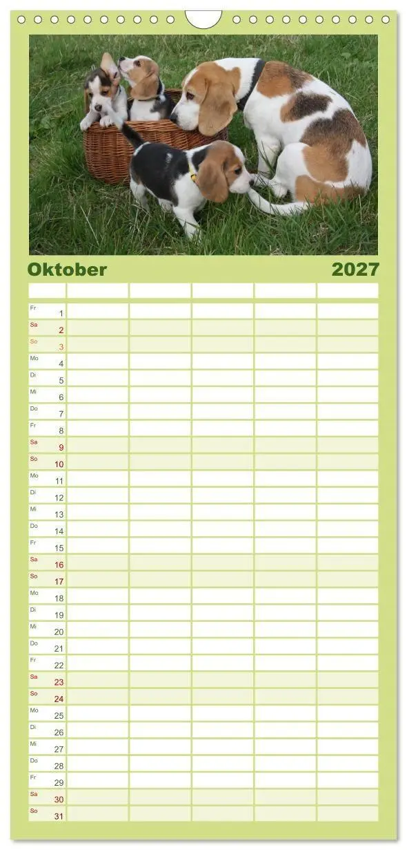 Bild: 9783594345146 | Familienplaner 2027 - Beagle mit 5 Spalten (Wandkalender, 21 x 45...
