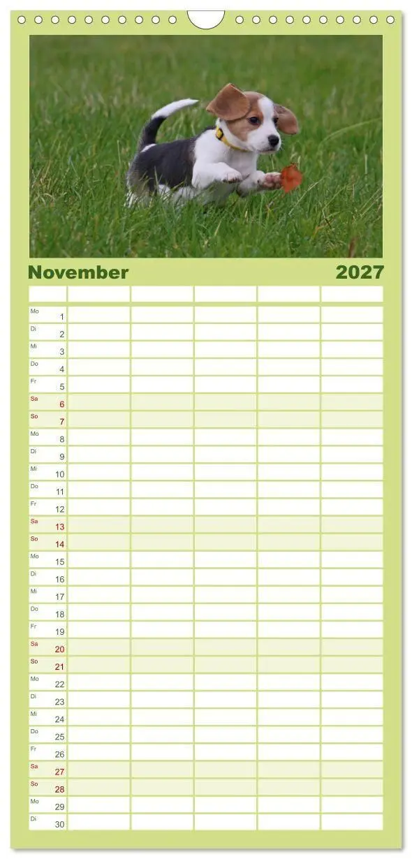 Bild: 9783594345146 | Familienplaner 2027 - Beagle mit 5 Spalten (Wandkalender, 21 x 45...