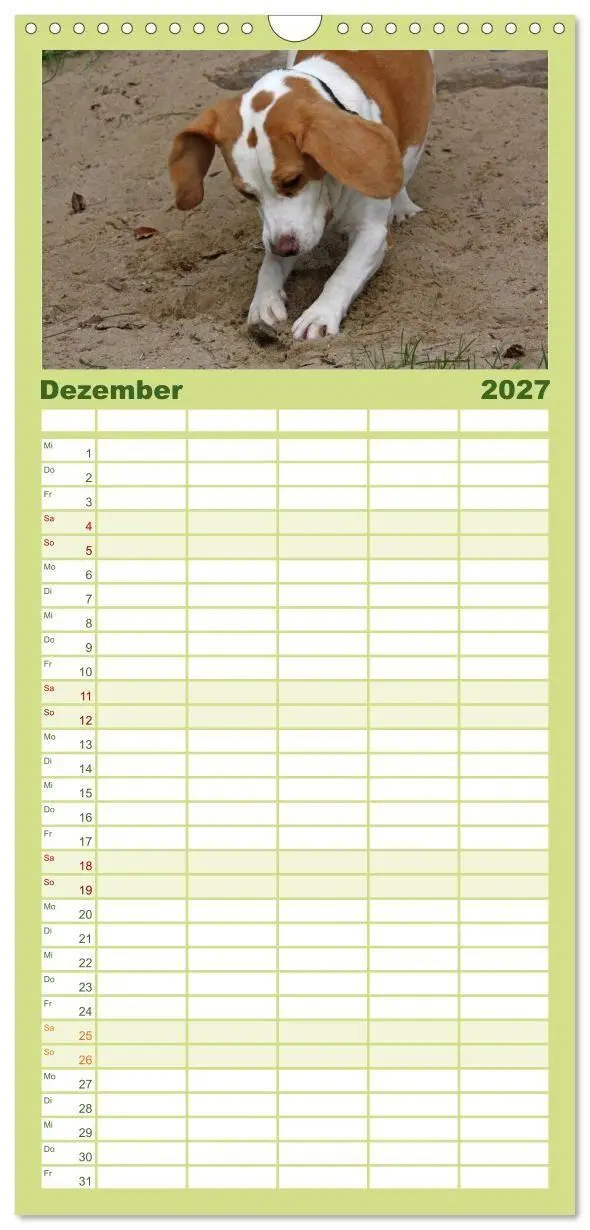 Bild: 9783594345146 | Familienplaner 2027 - Beagle mit 5 Spalten (Wandkalender, 21 x 45...