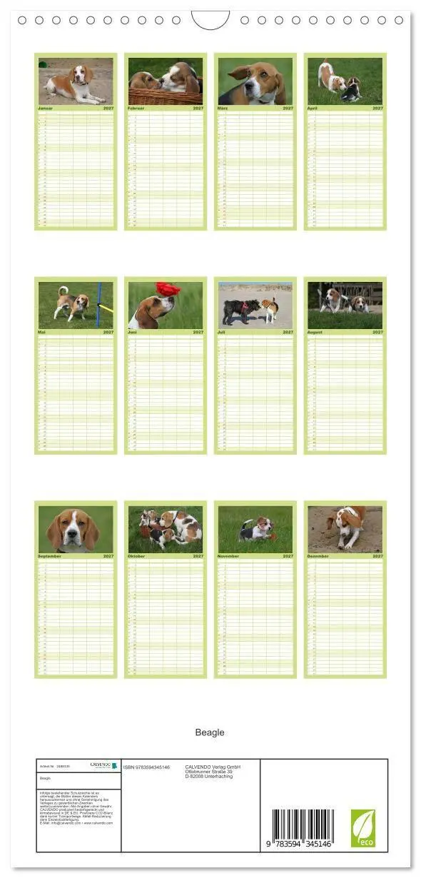 Bild: 9783594345146 | Familienplaner 2027 - Beagle mit 5 Spalten (Wandkalender, 21 x 45...