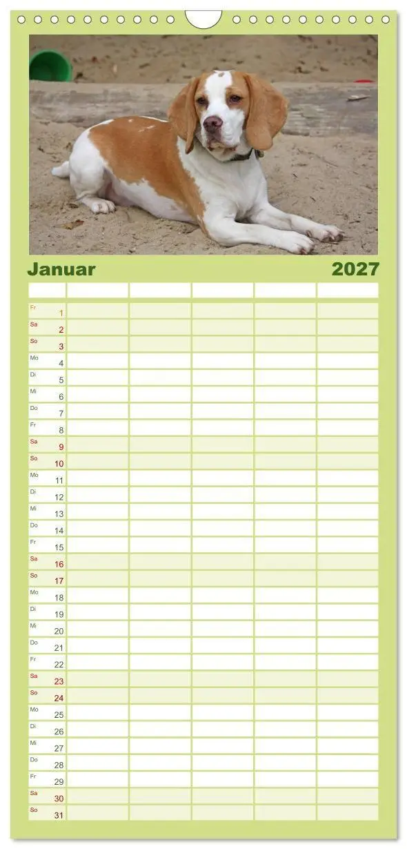 Bild: 9783594345146 | Familienplaner 2027 - Beagle mit 5 Spalten (Wandkalender, 21 x 45...