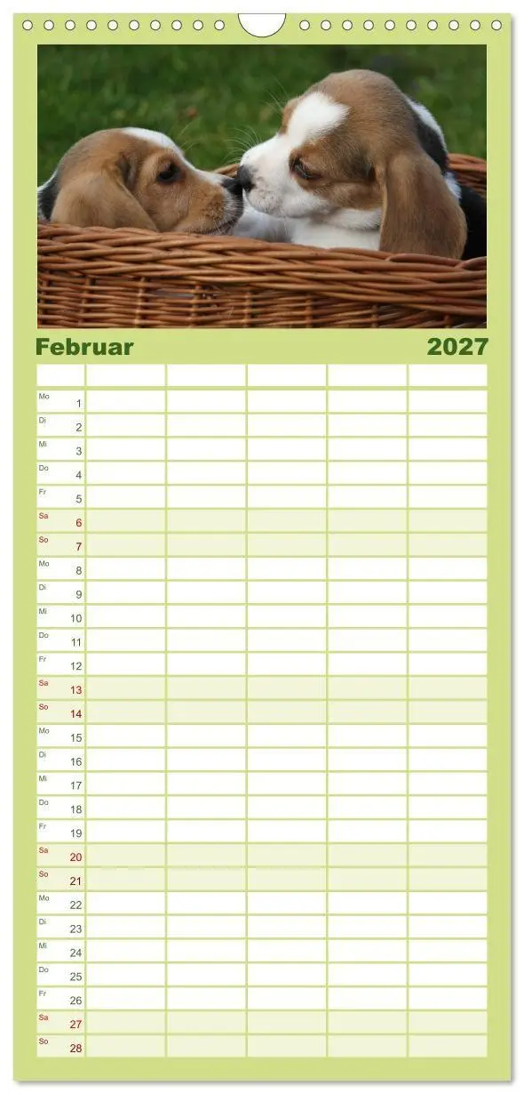 Bild: 9783594345146 | Familienplaner 2027 - Beagle mit 5 Spalten (Wandkalender, 21 x 45...