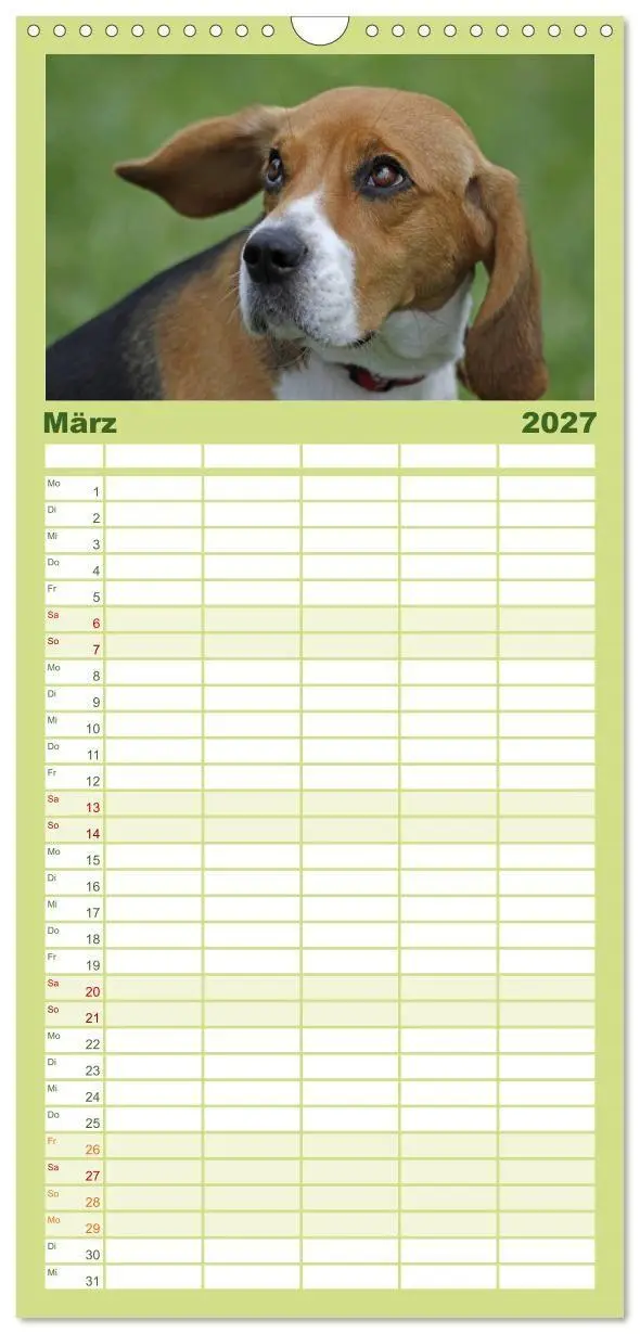 Bild: 9783594345146 | Familienplaner 2027 - Beagle mit 5 Spalten (Wandkalender, 21 x 45...