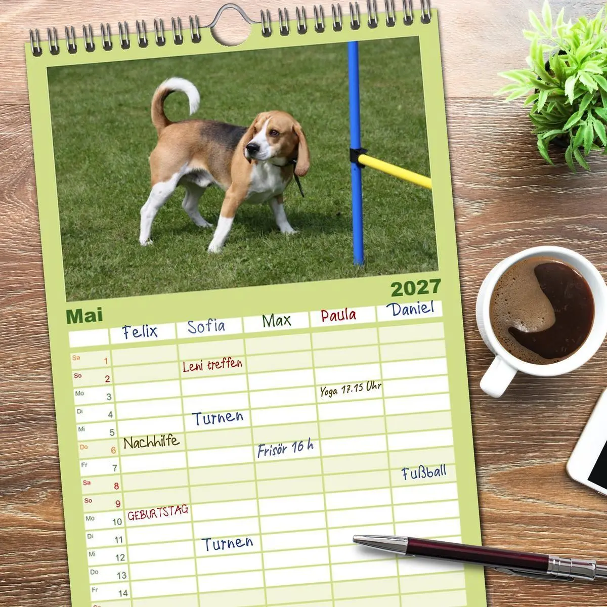 Bild: 9783594345146 | Familienplaner 2027 - Beagle mit 5 Spalten (Wandkalender, 21 x 45...