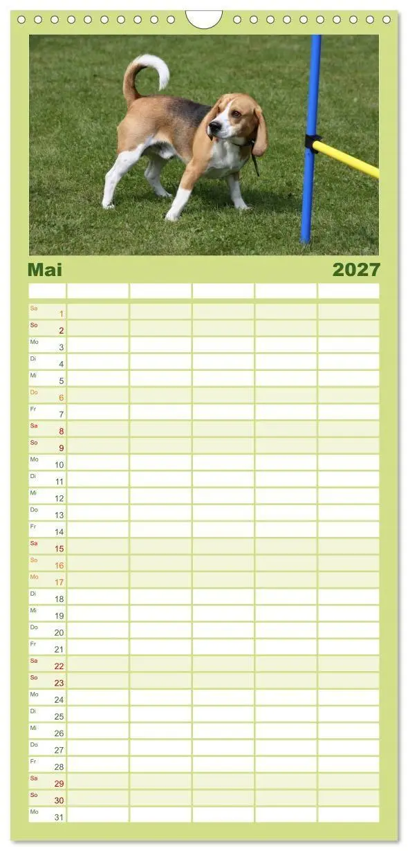 Bild: 9783594345146 | Familienplaner 2027 - Beagle mit 5 Spalten (Wandkalender, 21 x 45...