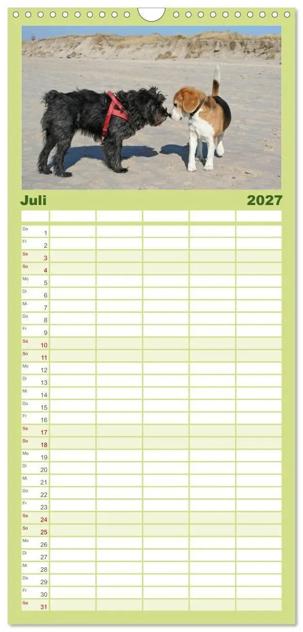 Bild: 9783594345146 | Familienplaner 2027 - Beagle mit 5 Spalten (Wandkalender, 21 x 45...